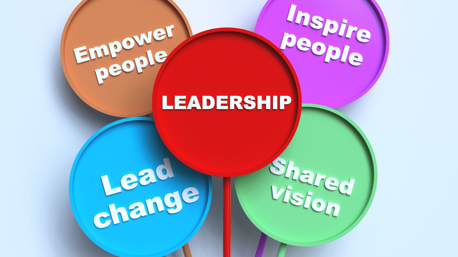 Leadership Mentoring